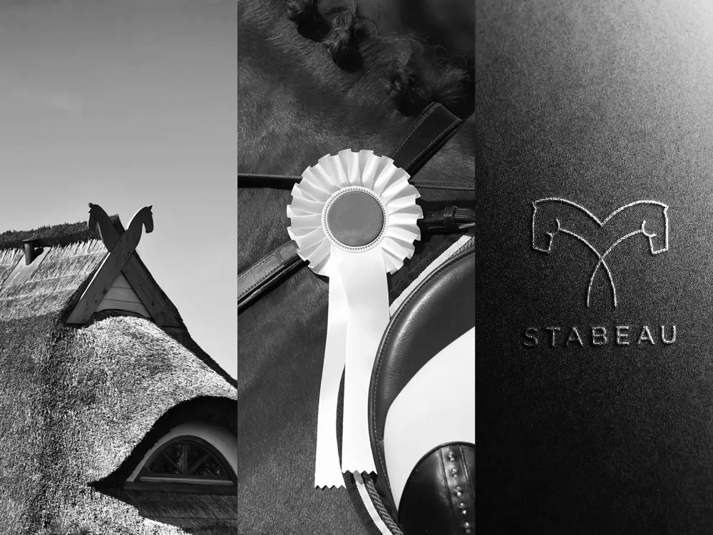 Stabeau: Reetdach, Turnierschleife und geprägtes Logo als Bildcollage